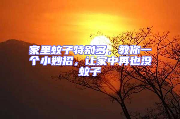 家里蚊子特別多,教你一個小妙招,讓家中再也沒蚊子