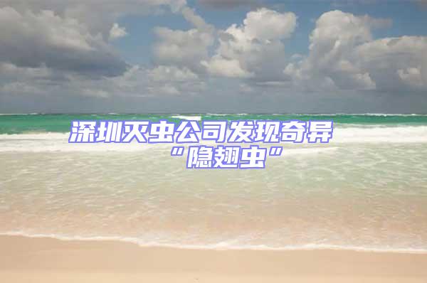 深圳滅蟲公司發(fā)現(xiàn)奇異“隱翅蟲”