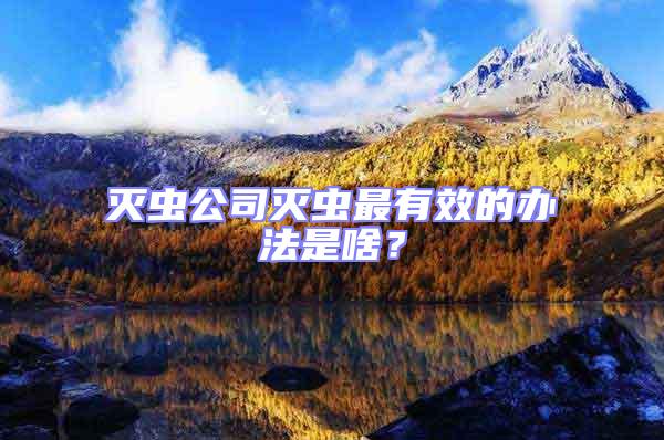 滅蟲公司滅蟲最有效的辦法是啥？