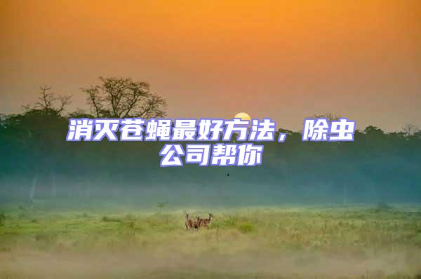 消滅蒼蠅最好方法，除蟲公司幫你