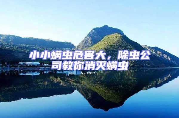 小小螨蟲(chóng)危害大,除蟲(chóng)公司教你消滅螨蟲(chóng)