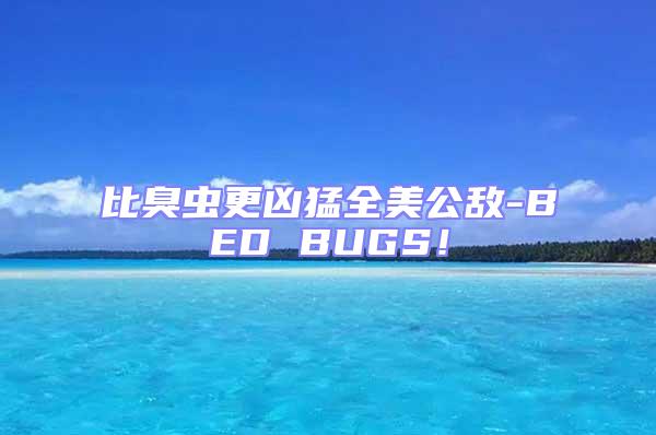比臭蟲更兇猛全美公敵-BED BUGS！