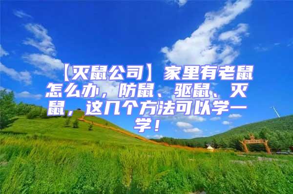 【滅鼠公司】家里有老鼠怎么辦,防鼠、驅鼠、滅鼠,這幾個方法可以學一學!