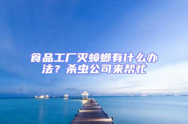 食品工廠滅蟑螂有什么辦法？殺蟲公司來幫忙