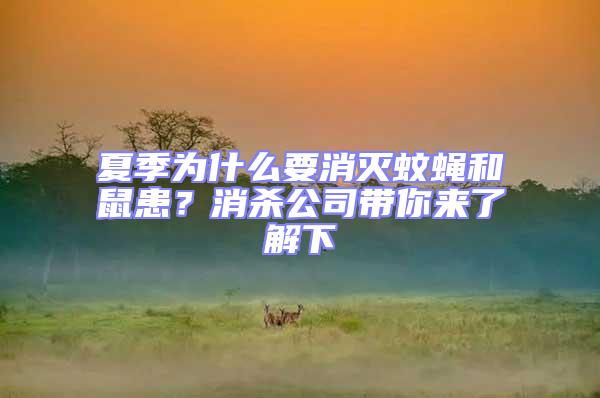 夏季為什么要消滅蚊蠅和鼠患?消殺公司帶你來了解下