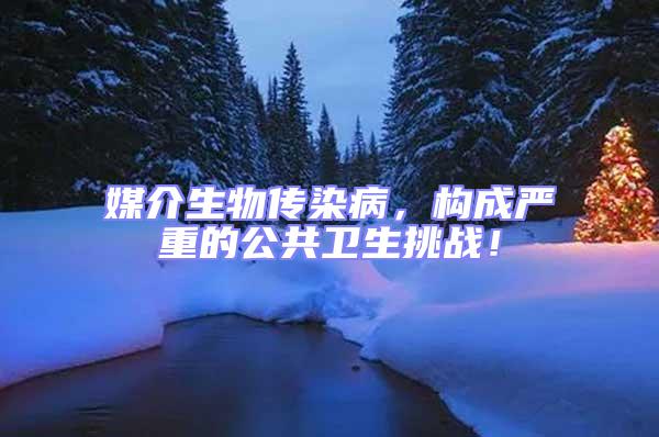 媒介生物傳染病，構成嚴重的公共衛生挑戰！