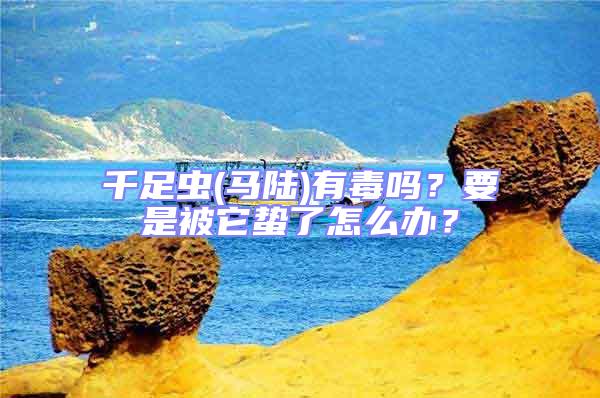 千足蟲(馬陸)有毒嗎？要是被它蟄了怎么辦？