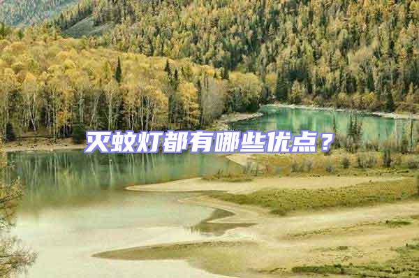 滅蚊燈都有哪些優(yōu)點(diǎn)?