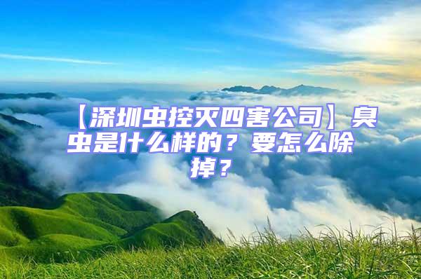 【深圳蟲控滅四害公司】臭蟲是什么樣的?要怎么除掉?