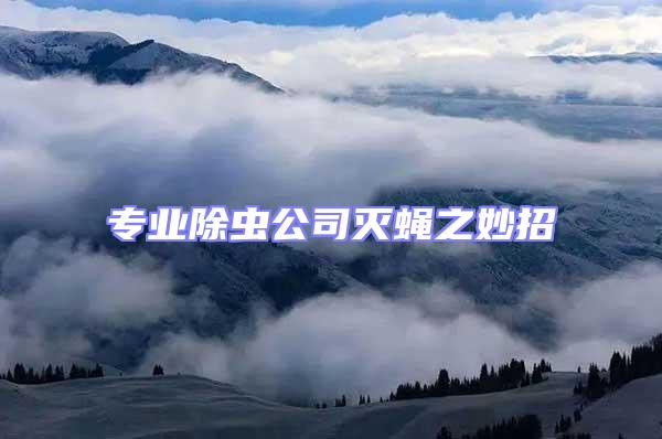 專業除蟲公司滅蠅之妙招