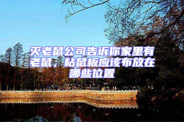 滅老鼠公司告訴你家里有老鼠,粘鼠板應該布放在哪些位置