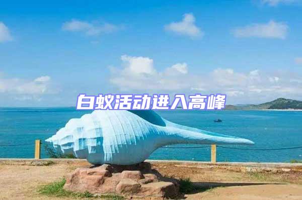 白蟻活動進(jìn)入高峰