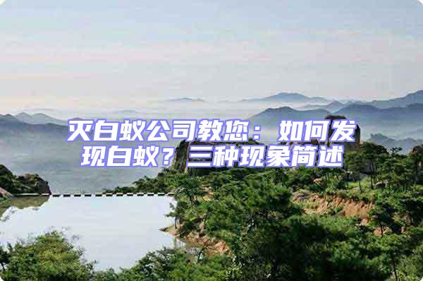 滅白蟻公司教您：如何發現白蟻？三種現象簡述