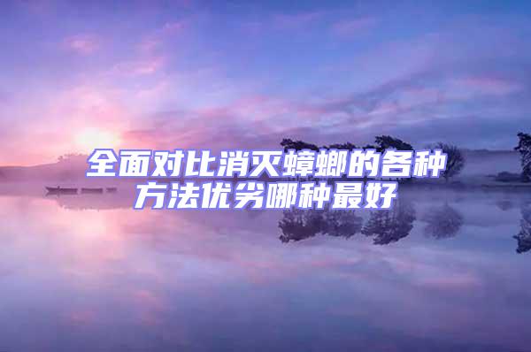 全面對比消滅蟑螂的各種方法優劣哪種最好