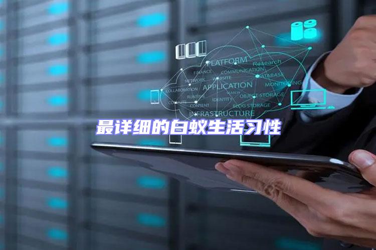 最詳細(xì)的白蟻生活習(xí)性