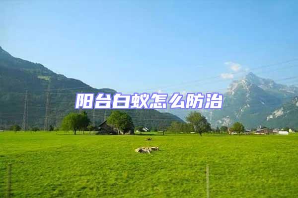 陽(yáng)臺(tái)白蟻怎么防治