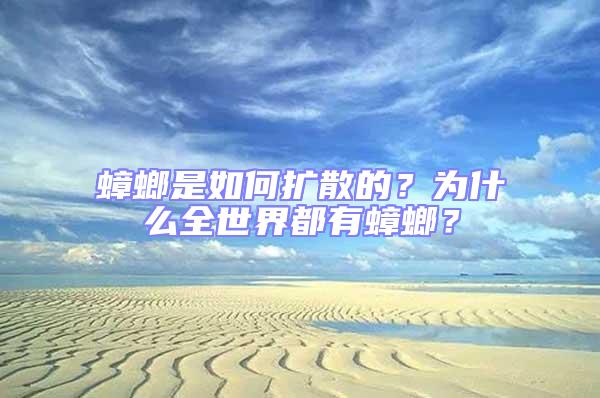 蟑螂是如何擴(kuò)散的?為什么全世界都有蟑螂?