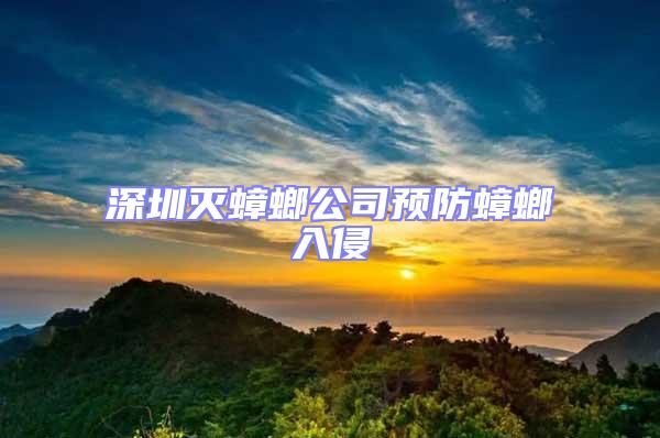 深圳滅蟑螂公司預防蟑螂入侵