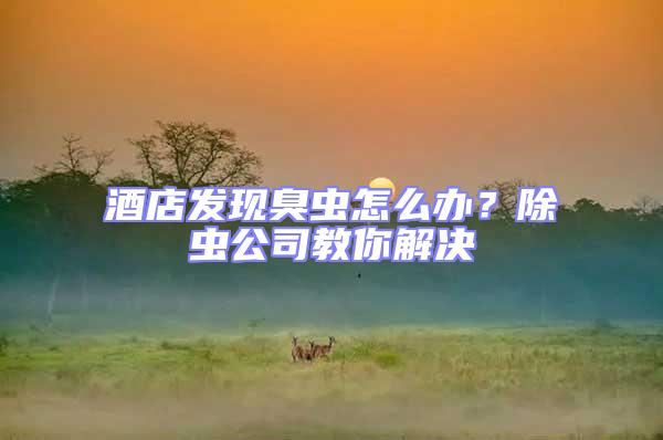 酒店發現臭蟲怎么辦?除蟲公司教你解決