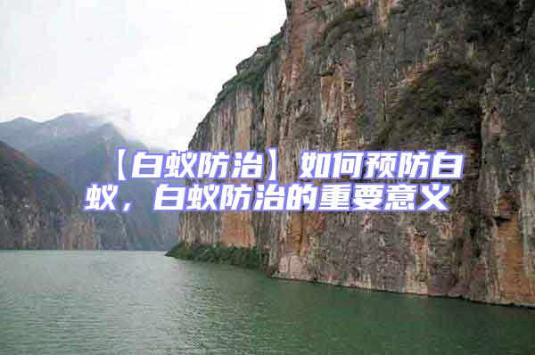 【白蟻防治】如何預防白蟻，白蟻防治的重要意義