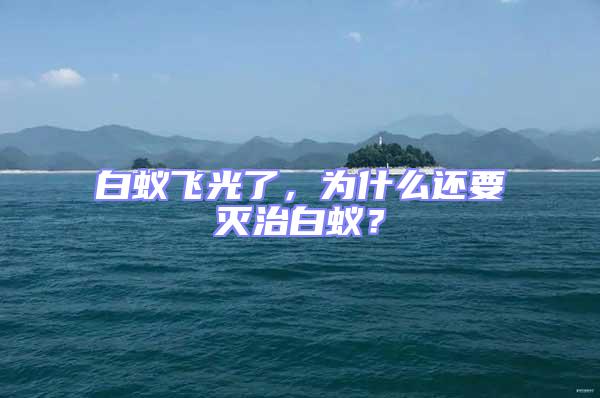 白蟻飛光了，為什么還要滅治白蟻？