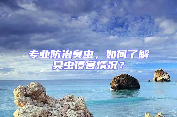 專業(yè)防治臭蟲，如何了解臭蟲侵害情況？