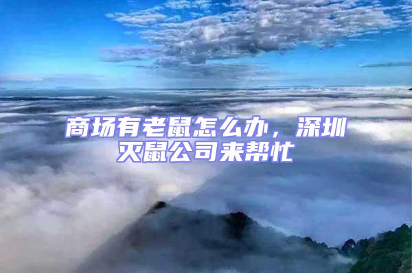 商場有老鼠怎么辦，深圳滅鼠公司來幫忙