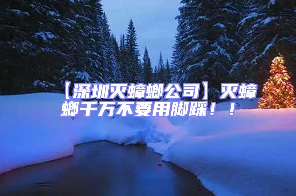 【深圳滅蟑螂公司】滅蟑螂千萬(wàn)不要用腳踩??！