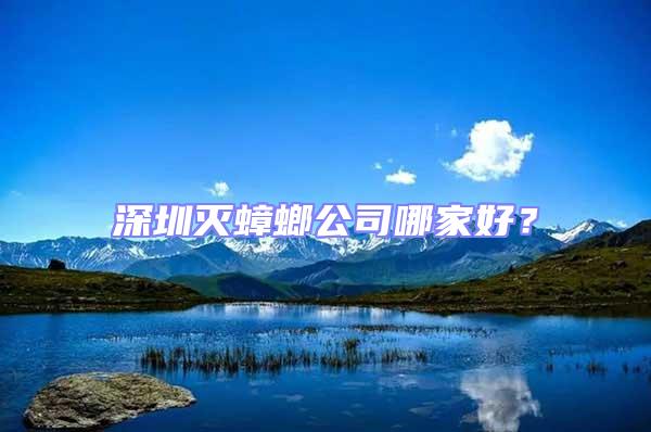 深圳滅蟑螂公司哪家好?