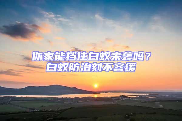 你家能擋住白蟻來(lái)襲嗎？白蟻防治刻不容緩