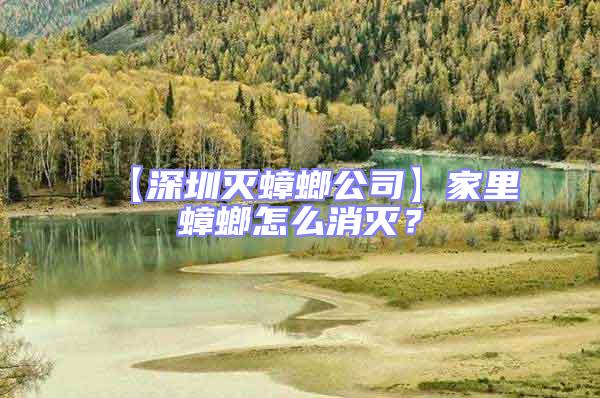 【深圳滅蟑螂公司】家里蟑螂怎么消滅？