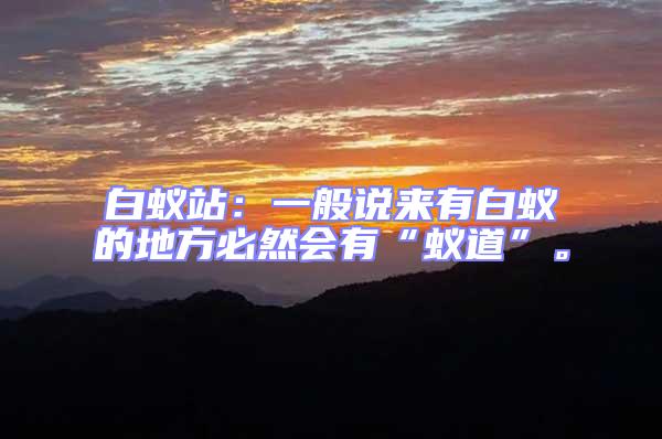 白蟻站：一般說來有白蟻的地方必然會有“蟻道”。