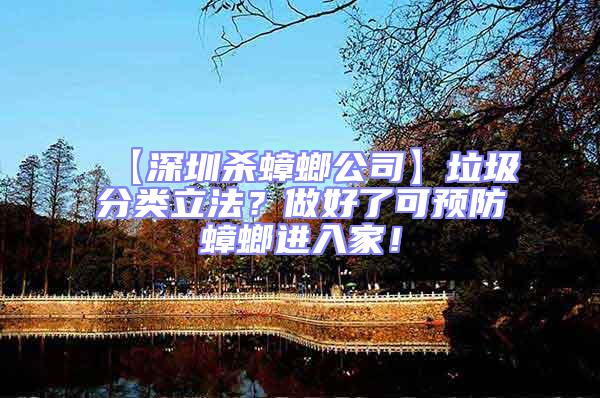 【深圳殺蟑螂公司】垃圾分類立法？做好了可預(yù)防蟑螂進(jìn)入家！