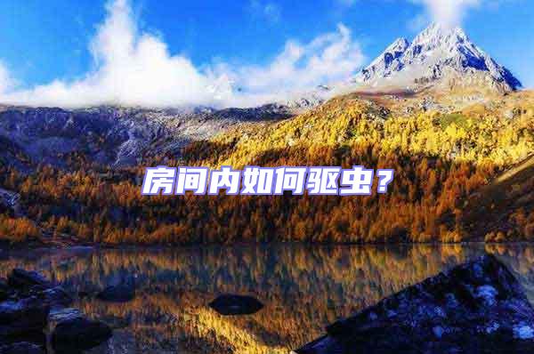 房間內如何驅蟲?