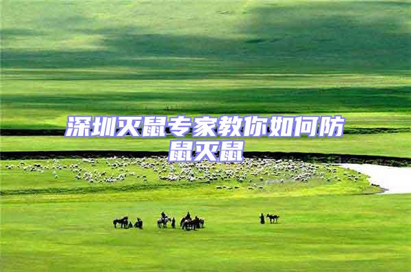 深圳滅鼠專(zhuān)家教你如何防鼠滅鼠