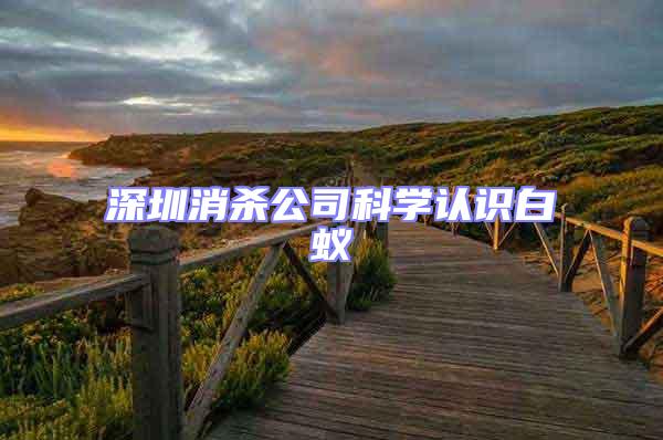 深圳消殺公司科學(xué)認(rèn)識(shí)白蟻