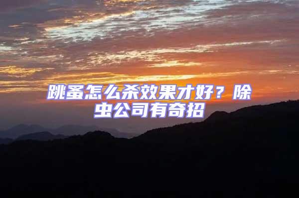 跳蚤怎么殺效果才好?除蟲公司有奇招