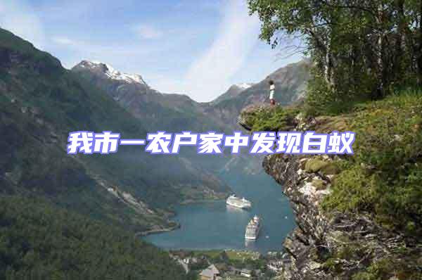 我市一農(nóng)戶家中發(fā)現(xiàn)白蟻