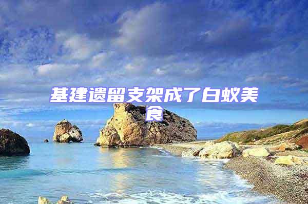 基建遺留支架成了白蟻美食