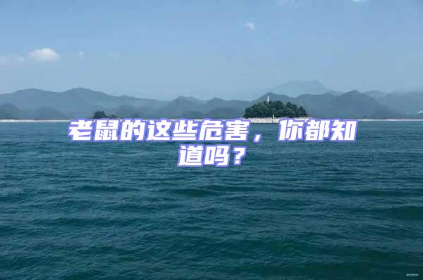 老鼠的這些危害，你都知道嗎？