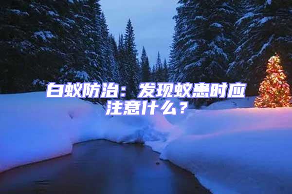 白蟻防治：發現蟻患時應注意什么？