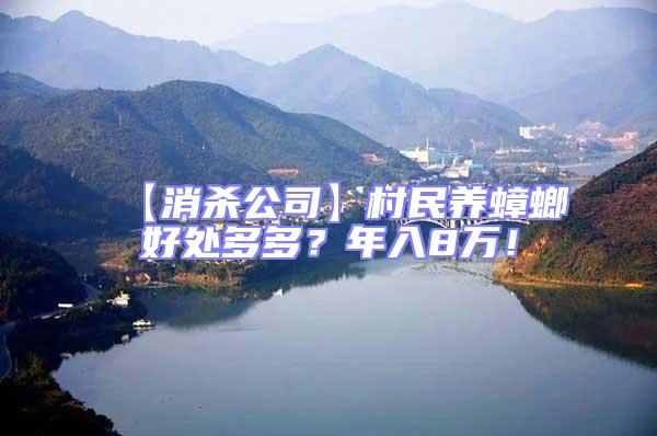 【消殺公司】村民養蟑螂好處多多?年入8萬!