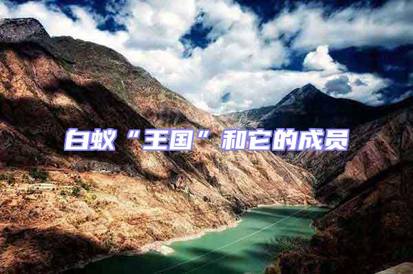 白蟻“王國(guó)”和它的成員