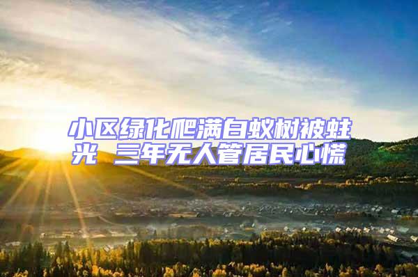 小區綠化爬滿白蟻樹被蛀光 三年無人管居民心慌