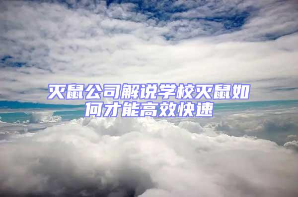 滅鼠公司解說學校滅鼠如何才能高效快速