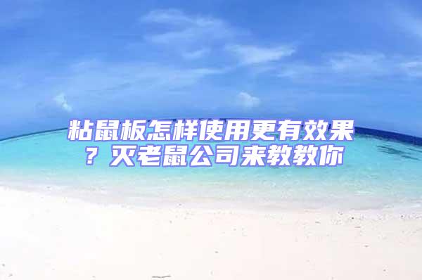 粘鼠板怎樣使用更有效果？滅老鼠公司來教教你