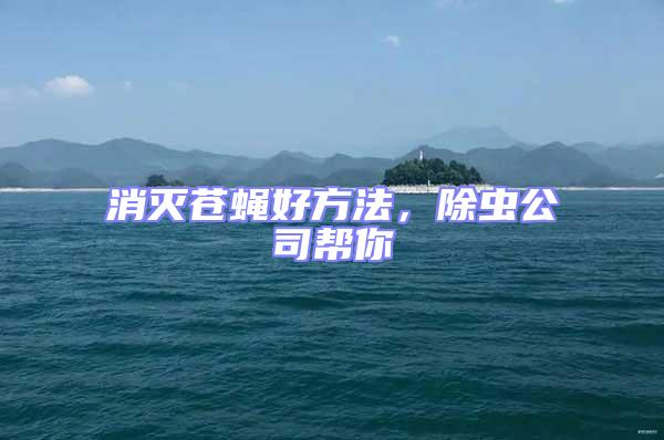 消滅蒼蠅好方法,除蟲公司幫你