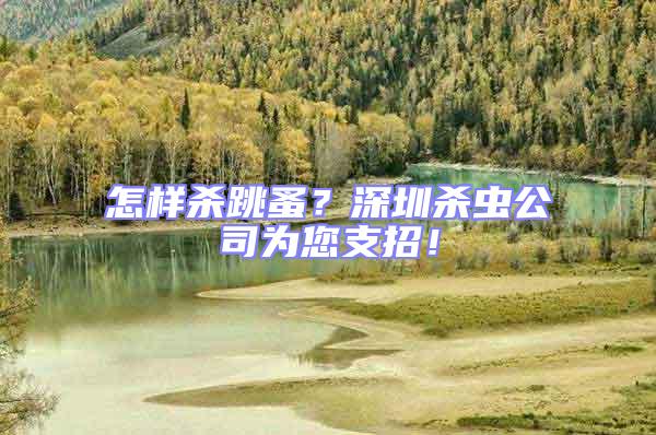 怎樣殺跳蚤?深圳殺蟲公司為您支招!