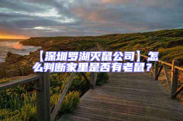 【深圳羅湖滅鼠公司】怎么判斷家里是否有老鼠？