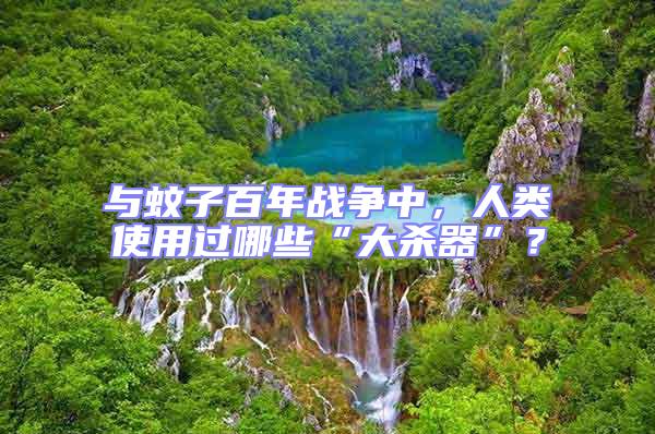 與蚊子百年戰爭中，人類使用過哪些“大殺器”？